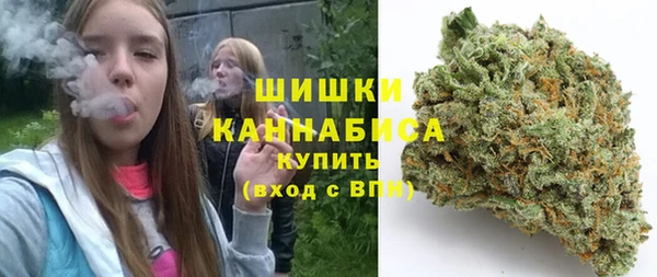 ГАЛЛЮЦИНОГЕННЫЕ ГРИБЫ Переславль-Залесский