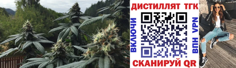 Дистиллят ТГК THC oil  где купить наркотик  Суворов 