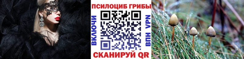 Псилоцибиновые грибы прущие грибы  Суворов 